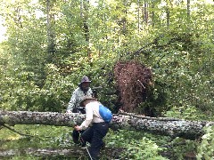 Ruth Bennett McDougal Dorrough; Judy Geisler; blowdown; IAT; Highland Lakes Segment, WI